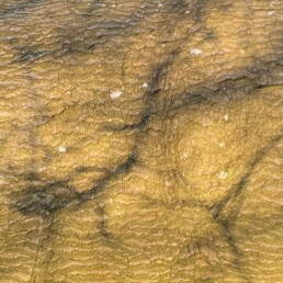 marks from sunlight on a small section of the log